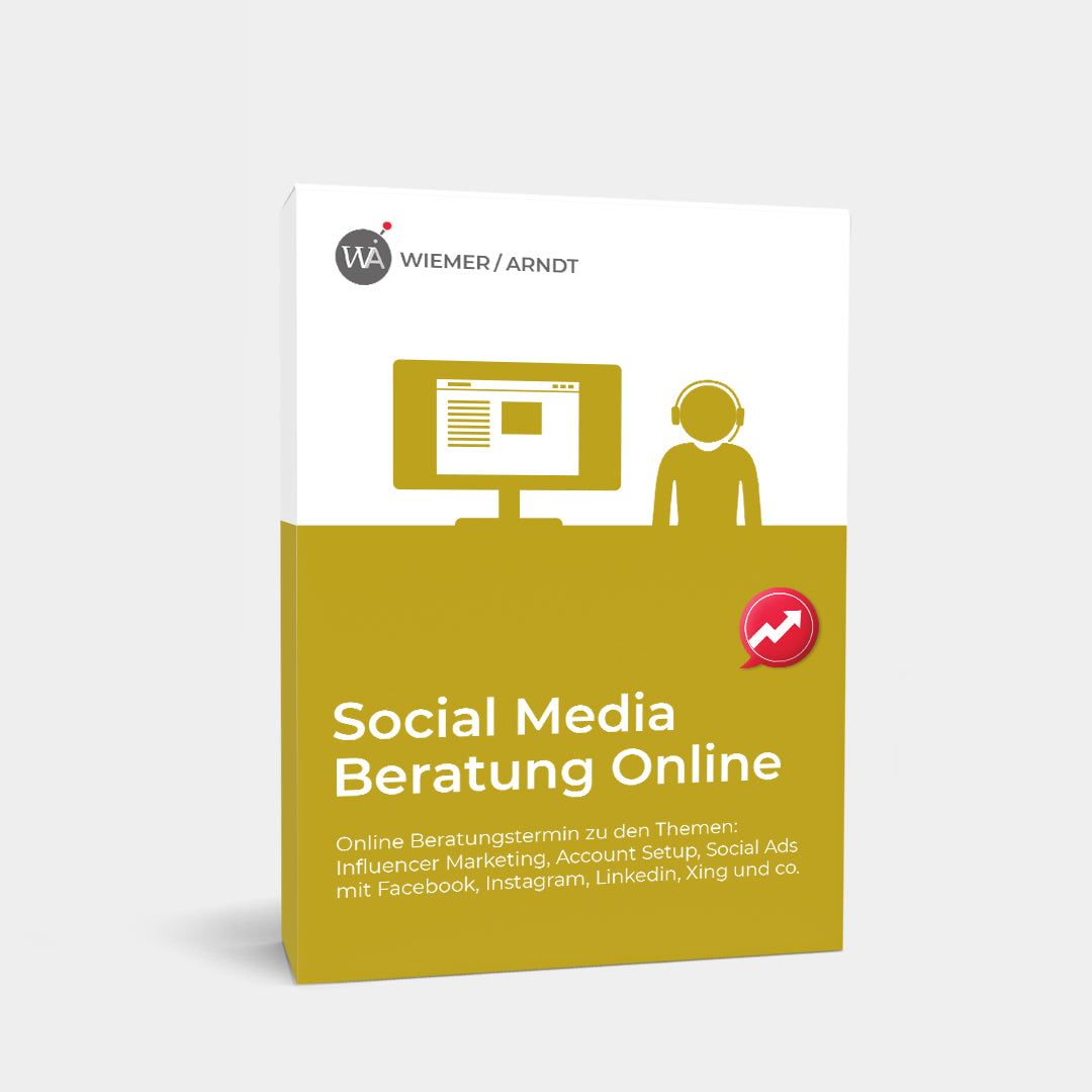 Social Media Beratung Online per Videochat oder Telefon